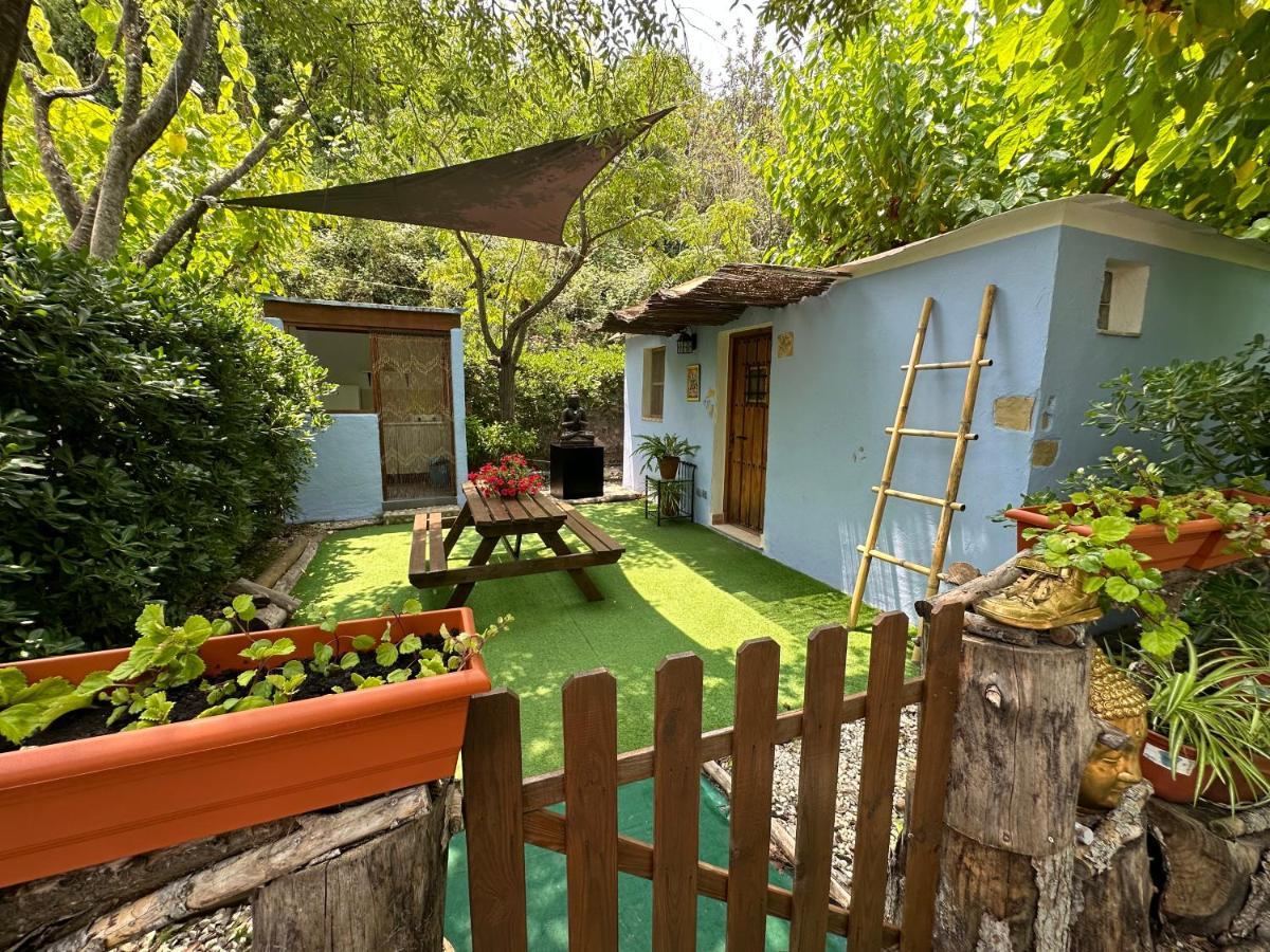 New Paradaise Art Gallery Hotel Xàtiva Екстериор снимка