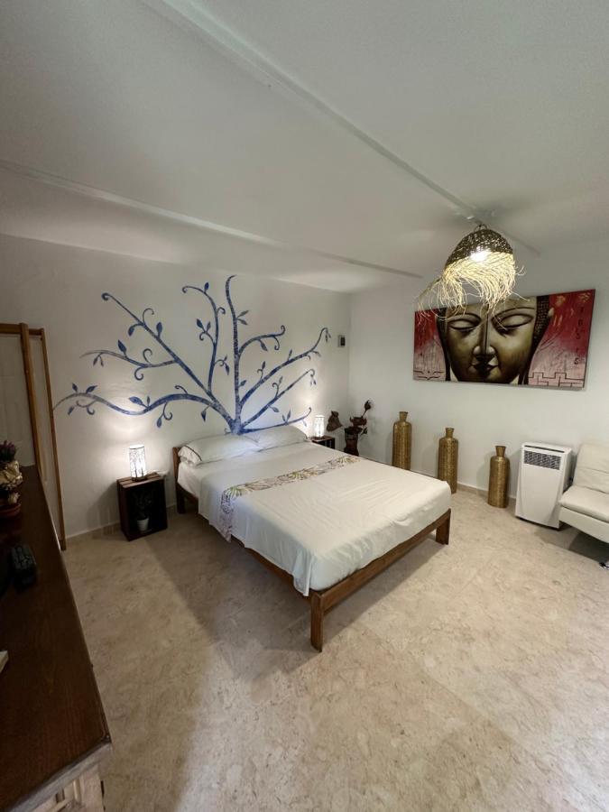 New Paradaise Art Gallery Hotel Xàtiva Екстериор снимка