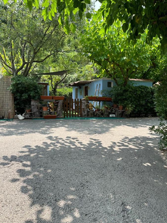 New Paradaise Art Gallery Hotel Xàtiva Екстериор снимка