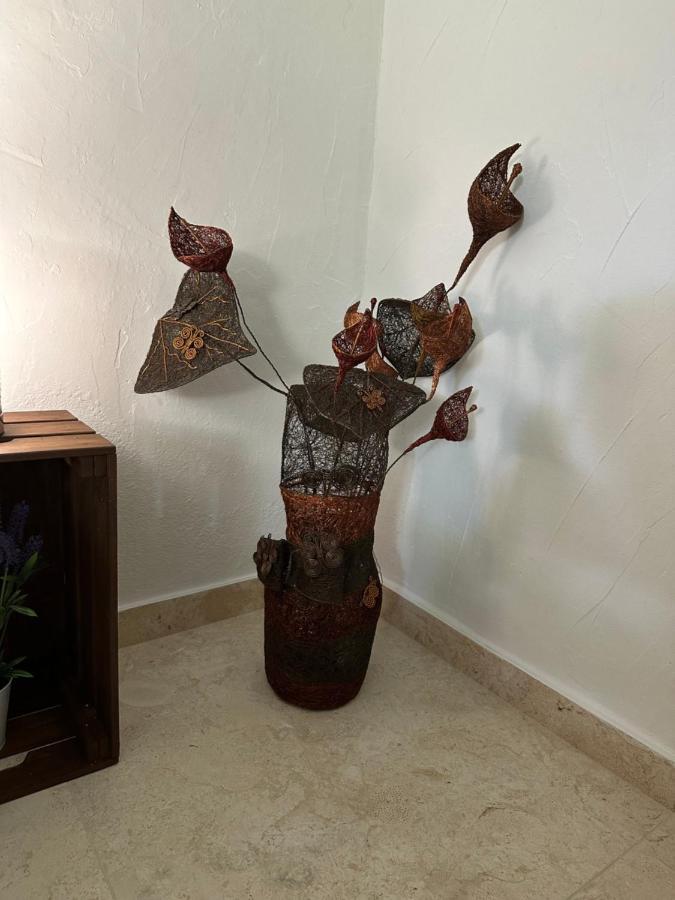 New Paradaise Art Gallery Hotel Xàtiva Екстериор снимка