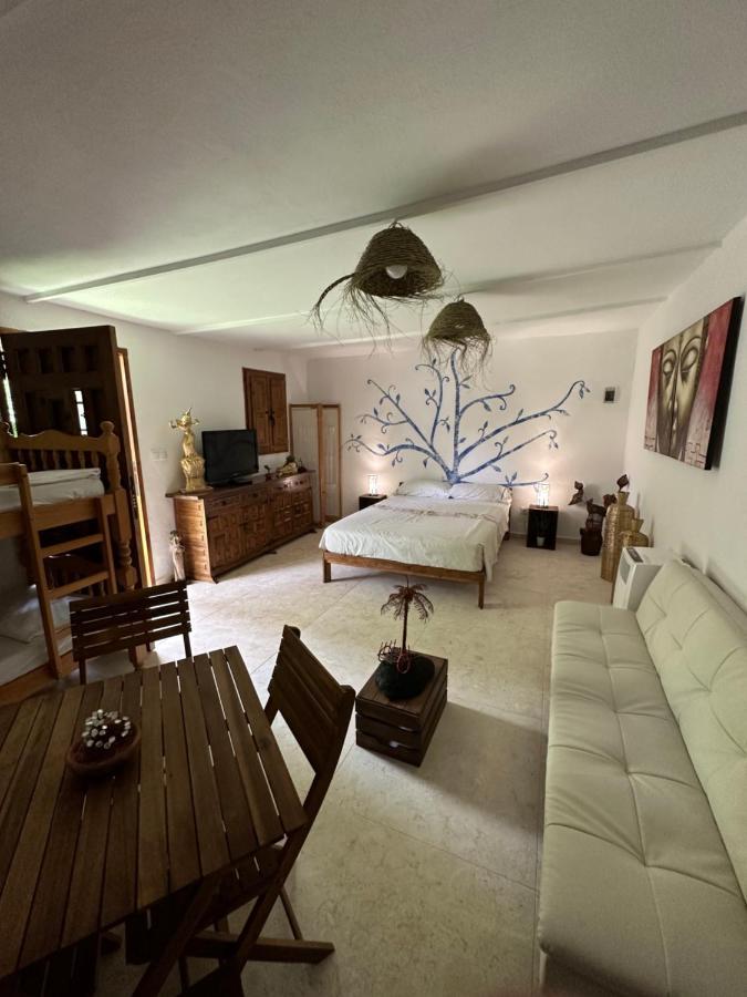 New Paradaise Art Gallery Hotel Xàtiva Екстериор снимка