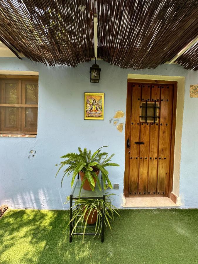 New Paradaise Art Gallery Hotel Xàtiva Екстериор снимка