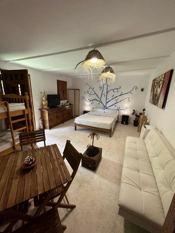 New Paradaise Art Gallery Hotel Xàtiva Екстериор снимка